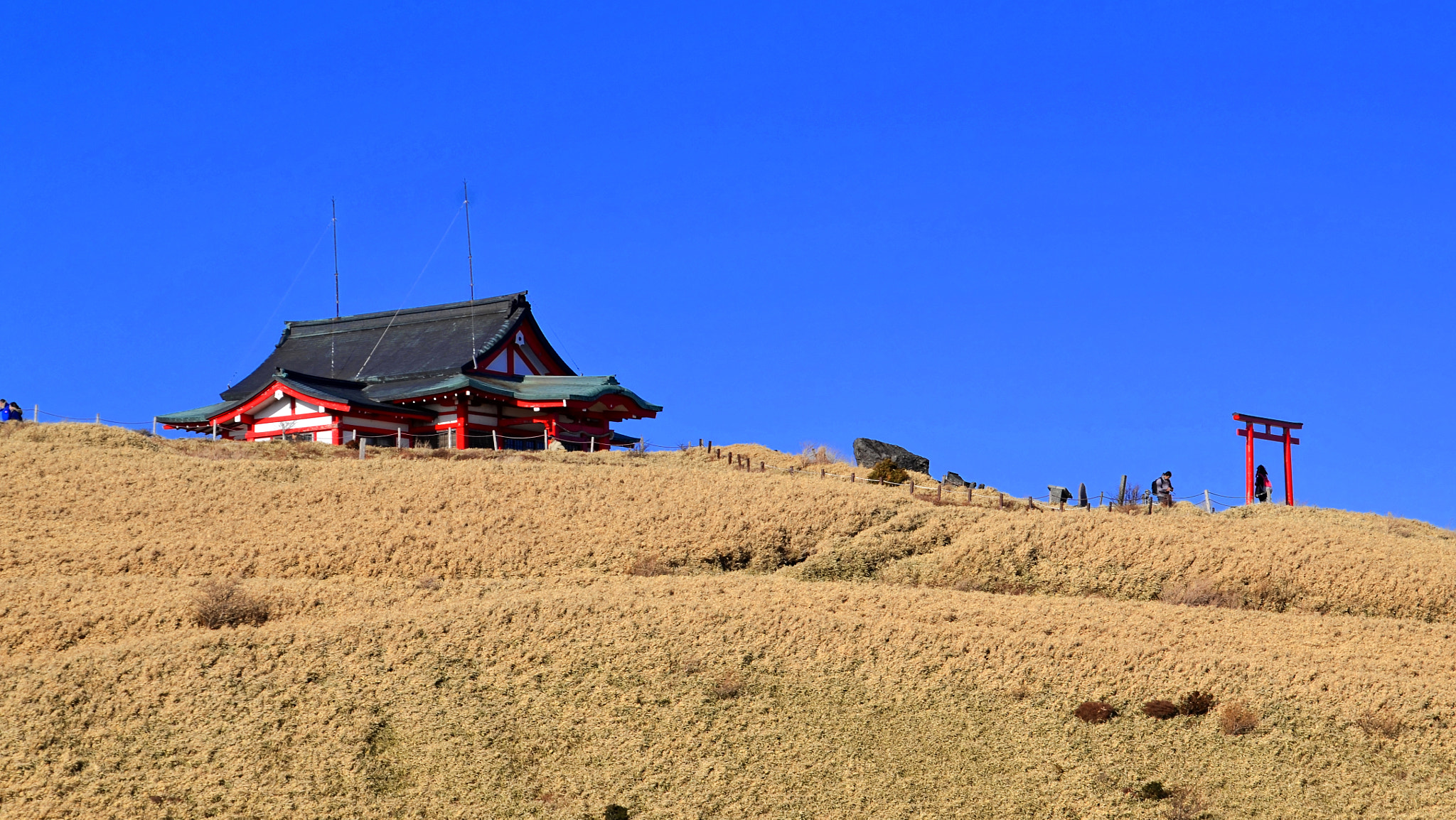 Nikon D7000 sample photo. Hakone shrine mototsumiya photography