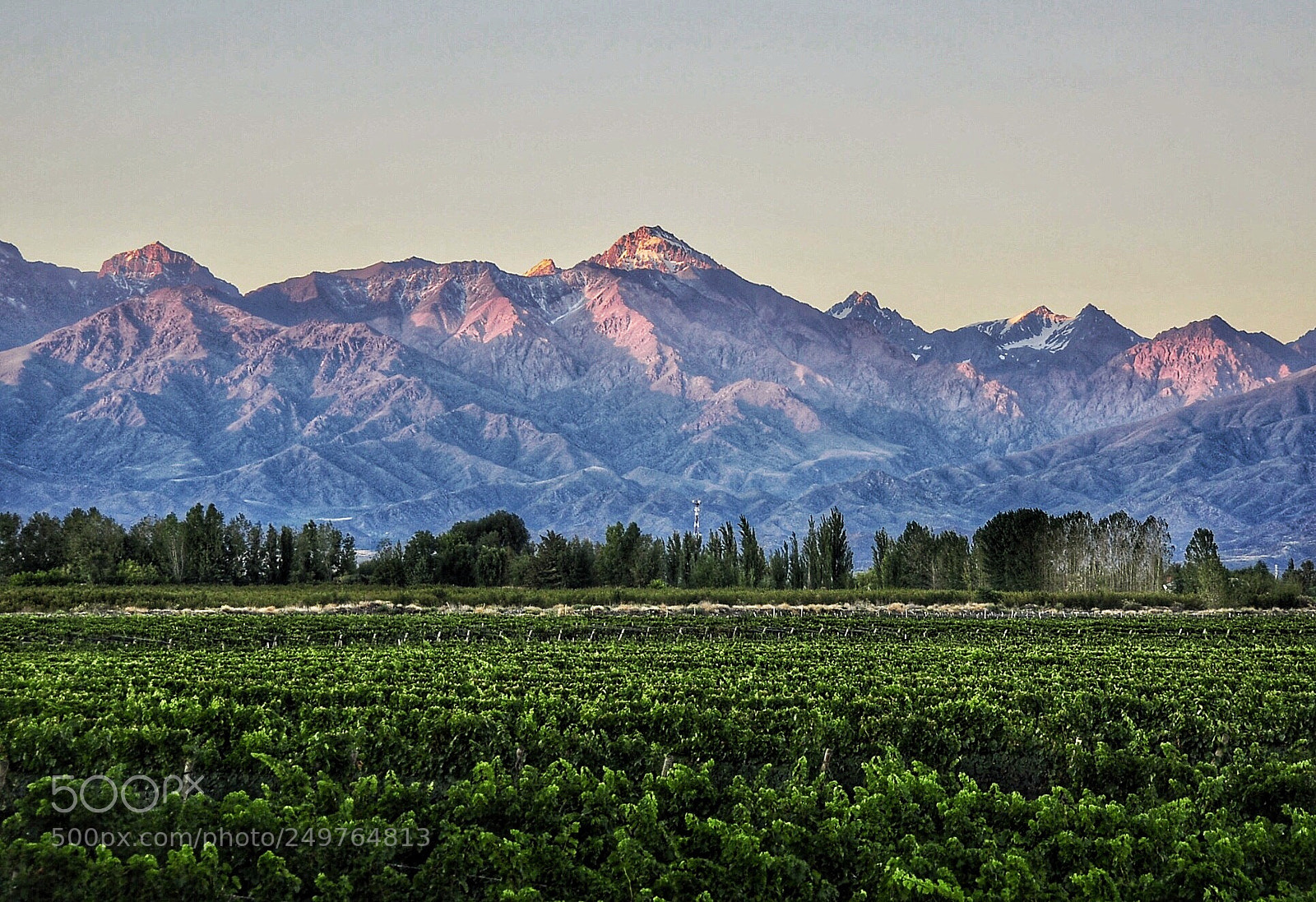 Nikon D90 sample photo. Mendoza photography