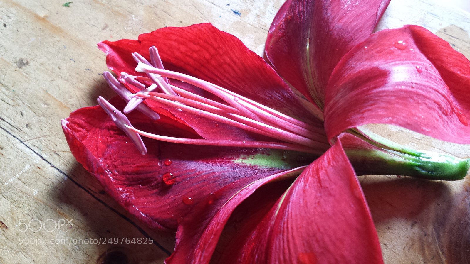 Samsung Galaxy S4 sample photo. Untitled photography