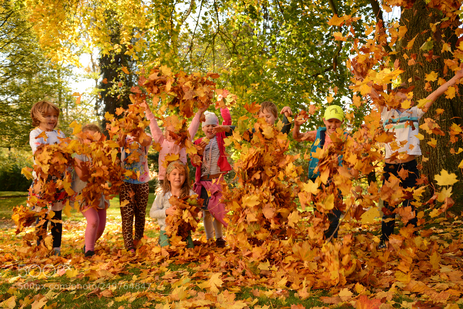 Nikon D7100 sample photo. Having fun in autumn photography