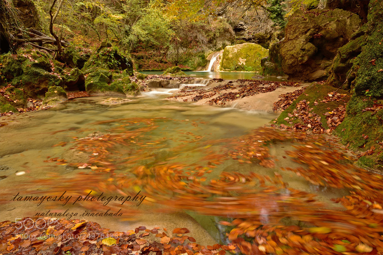 Nikon D810 sample photo. Urbasaredes photography