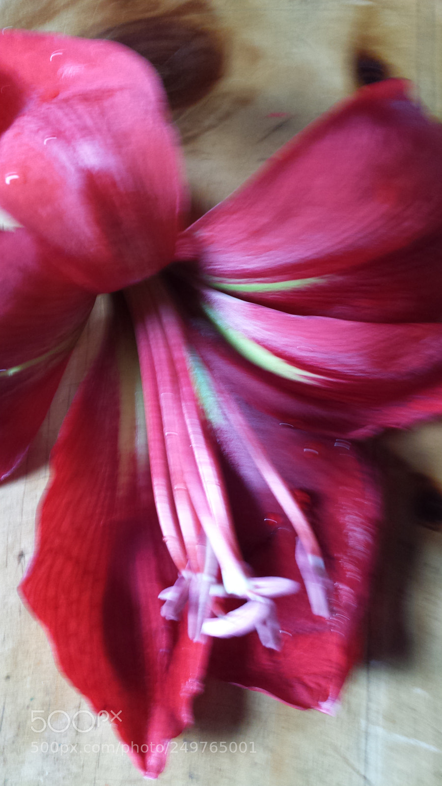 Samsung Galaxy S4 sample photo. Untitled photography