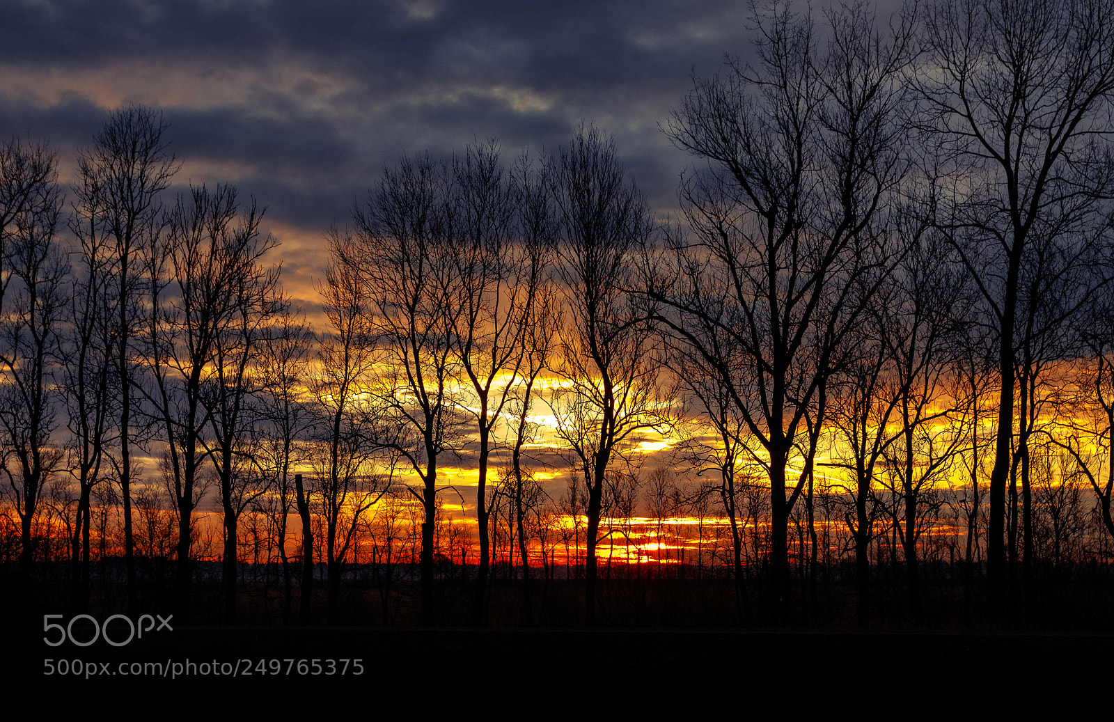Canon EOS 80D sample photo. Sunrise in winter photography