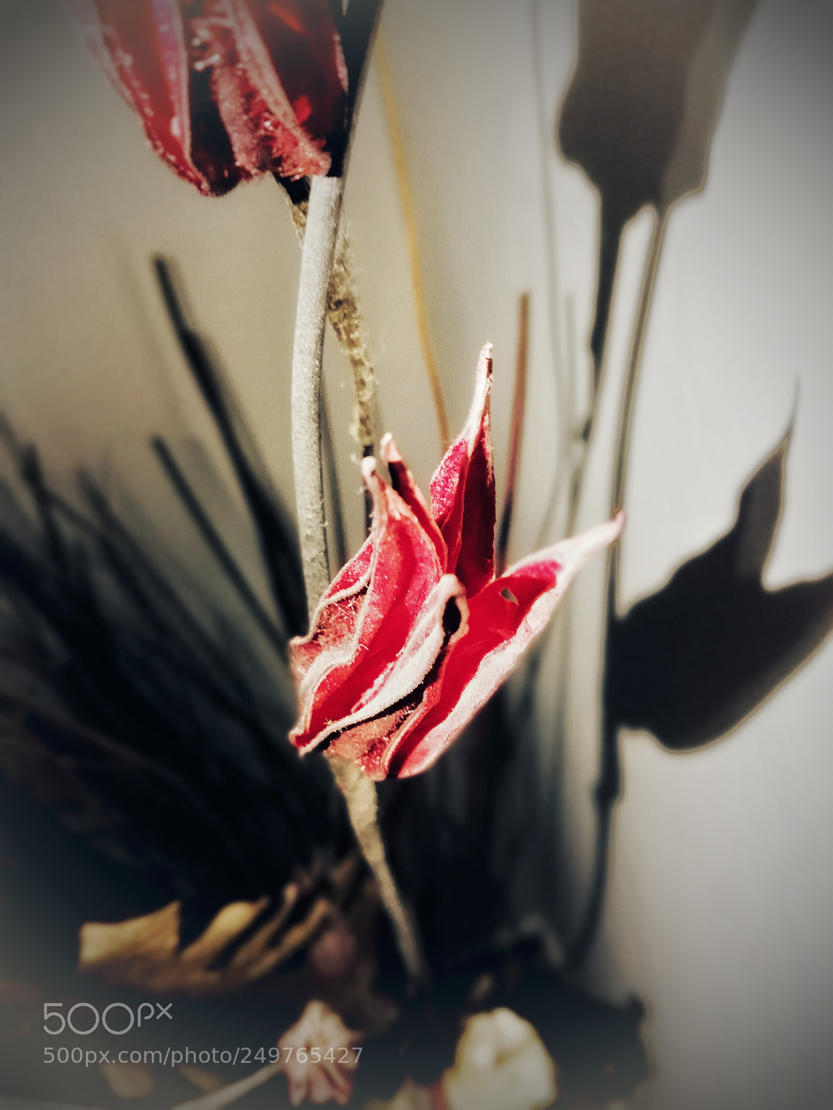 HUAWEI Mate 10 Lite sample photo. Untitled photography