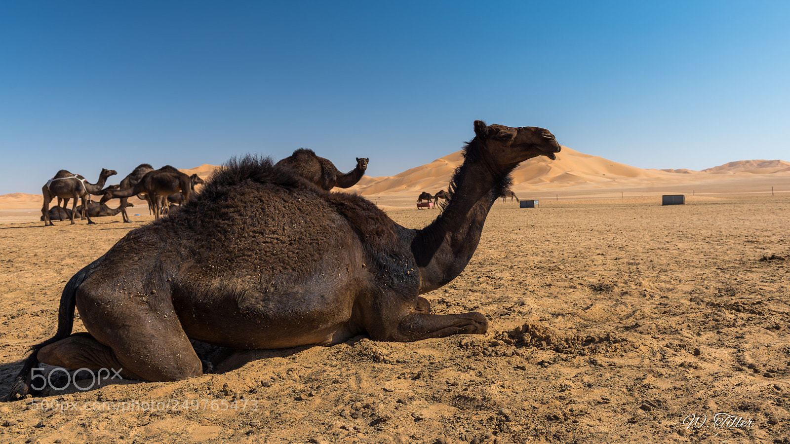 Nikon D810 sample photo. Rub al-khali photography