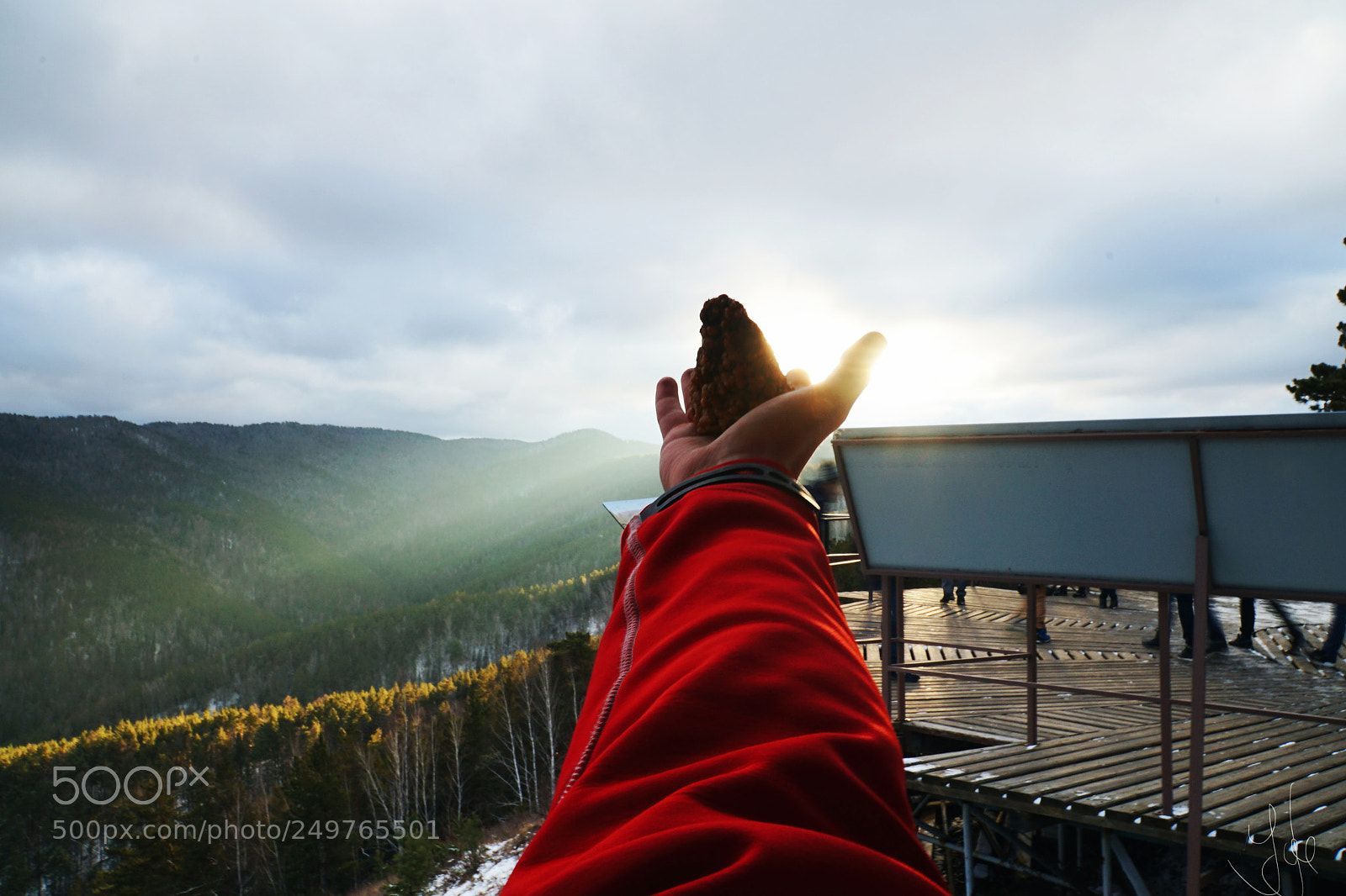 Sony a7 II sample photo. Муравейник photography