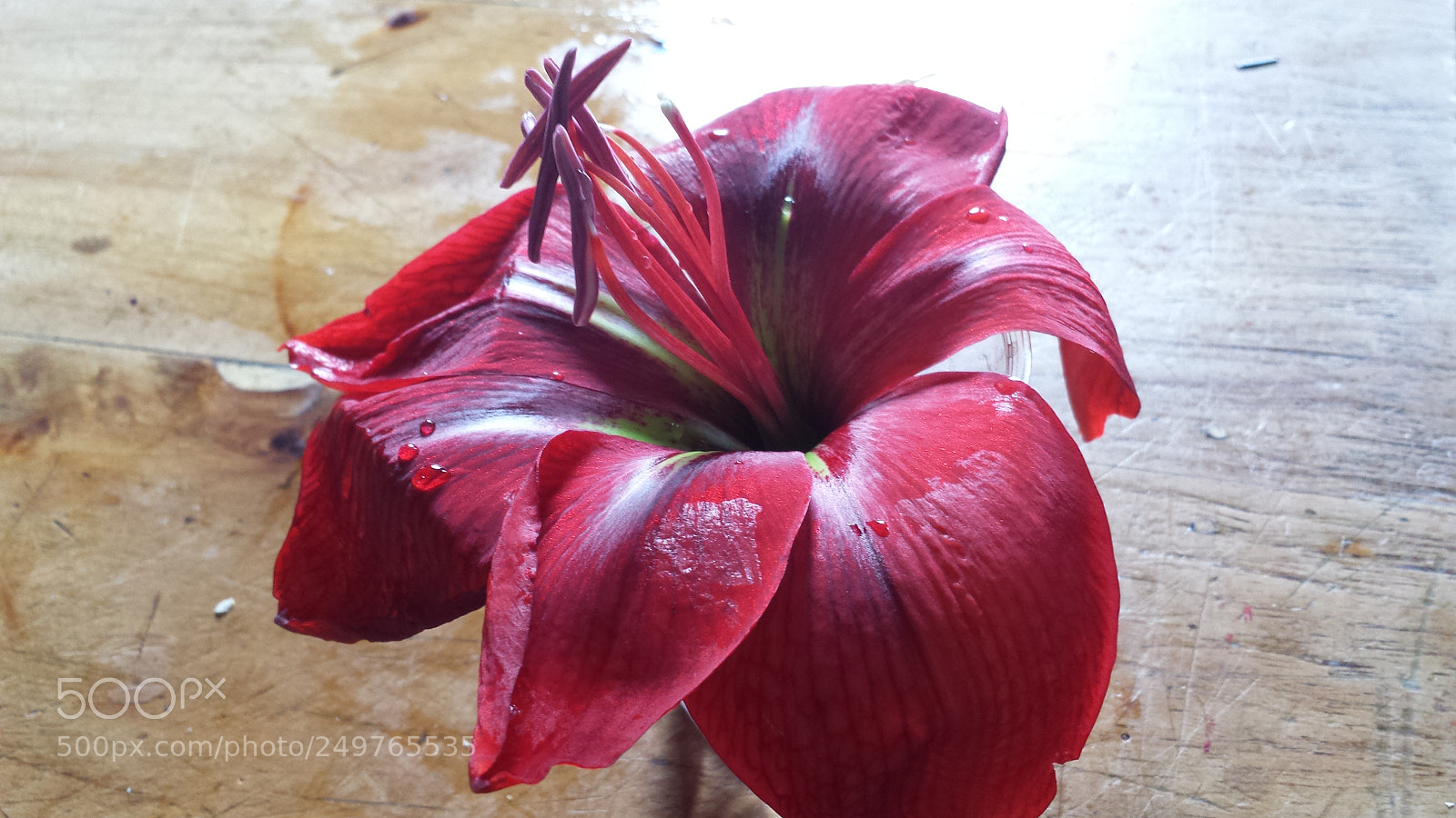Samsung Galaxy S4 sample photo. Untitled photography