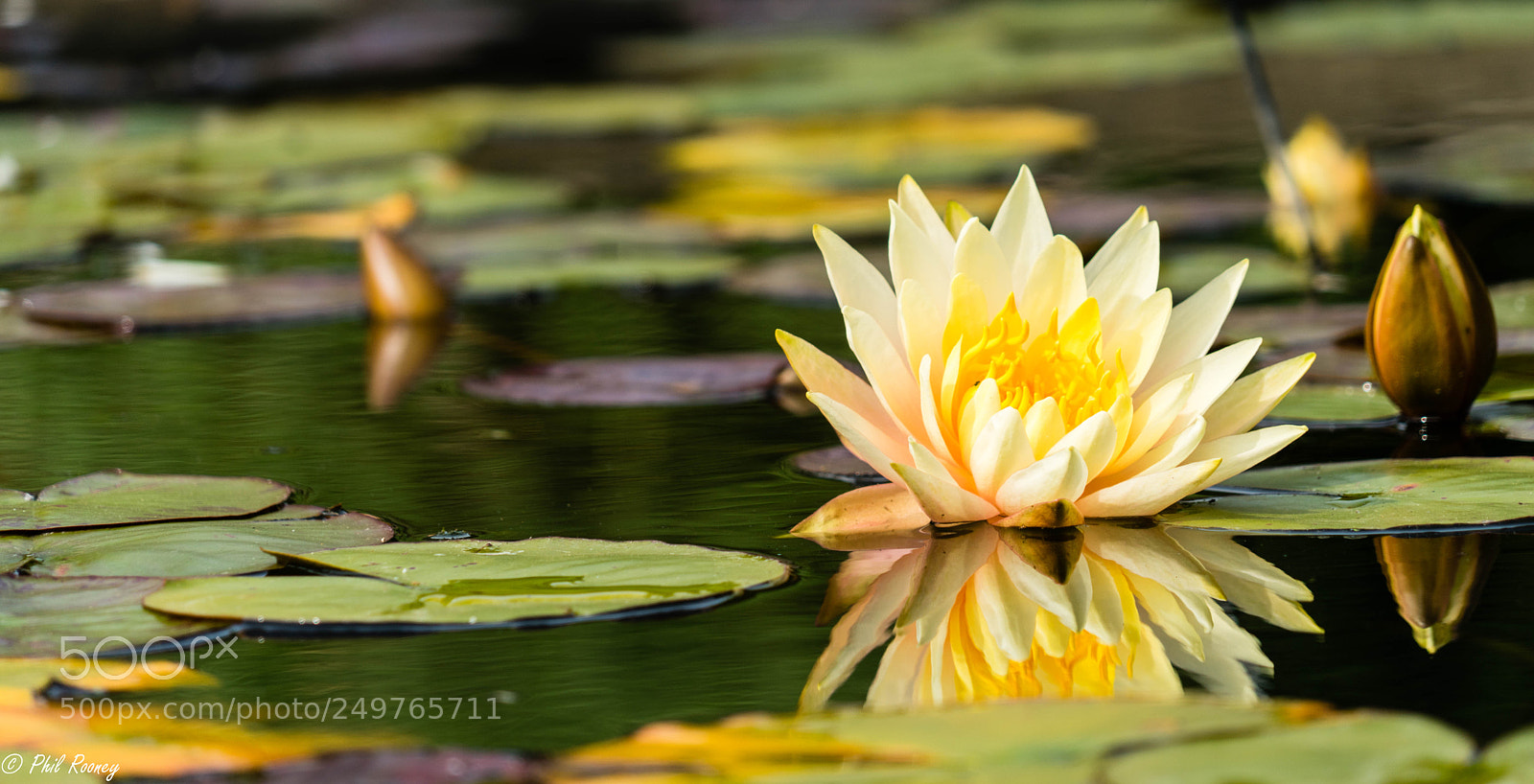 Sony a7R sample photo. Floating photography