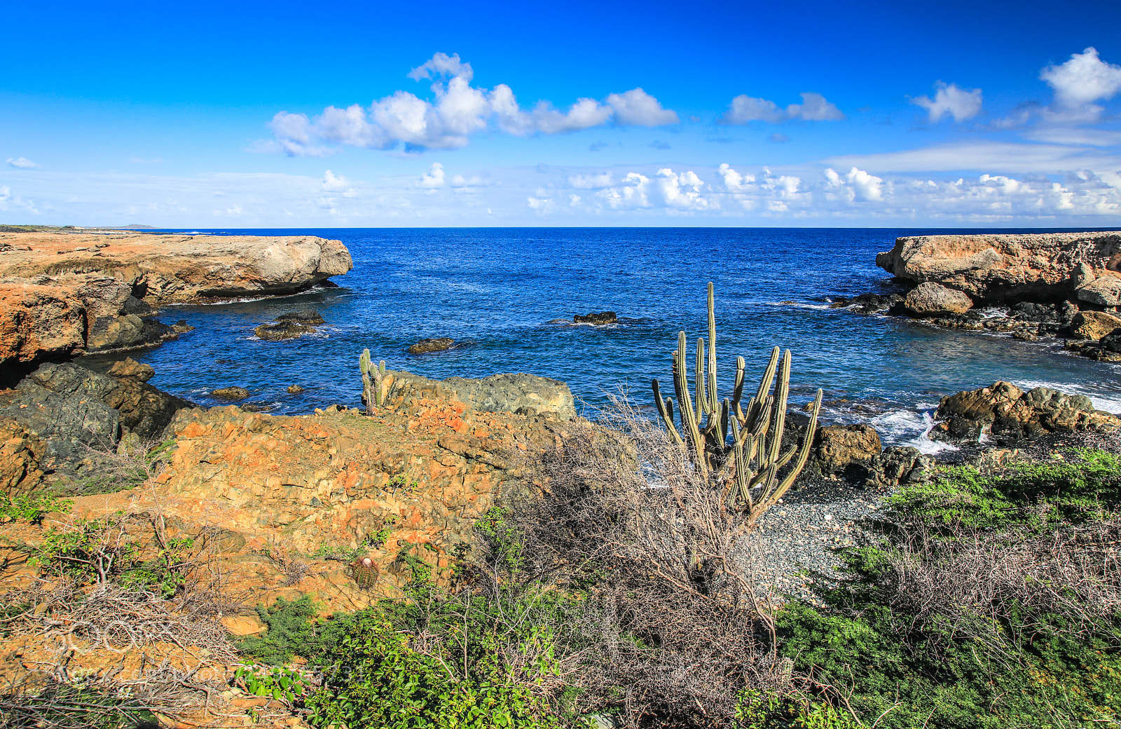 Canon EOS 5D Mark IV sample photo. Aruba 4 photography