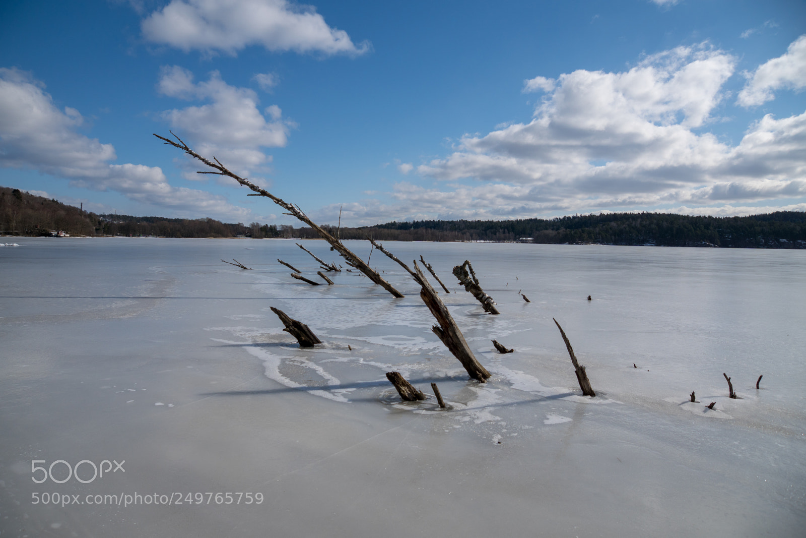 Sony ILCA-77M2 sample photo. Walk on ice photography