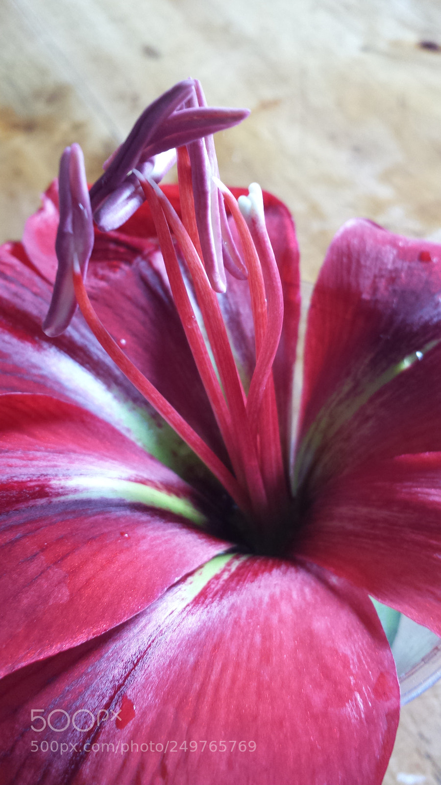 Samsung Galaxy S4 sample photo. Untitled photography