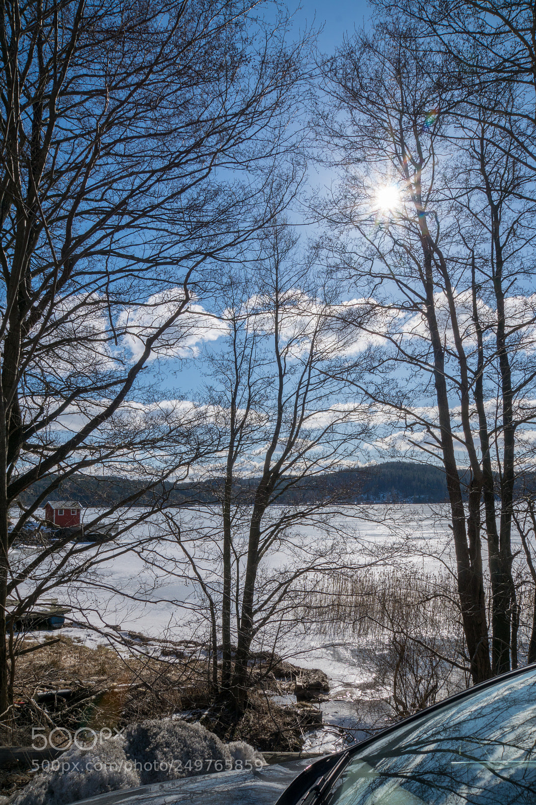 Sony ILCA-77M2 sample photo. Walk on ice photography