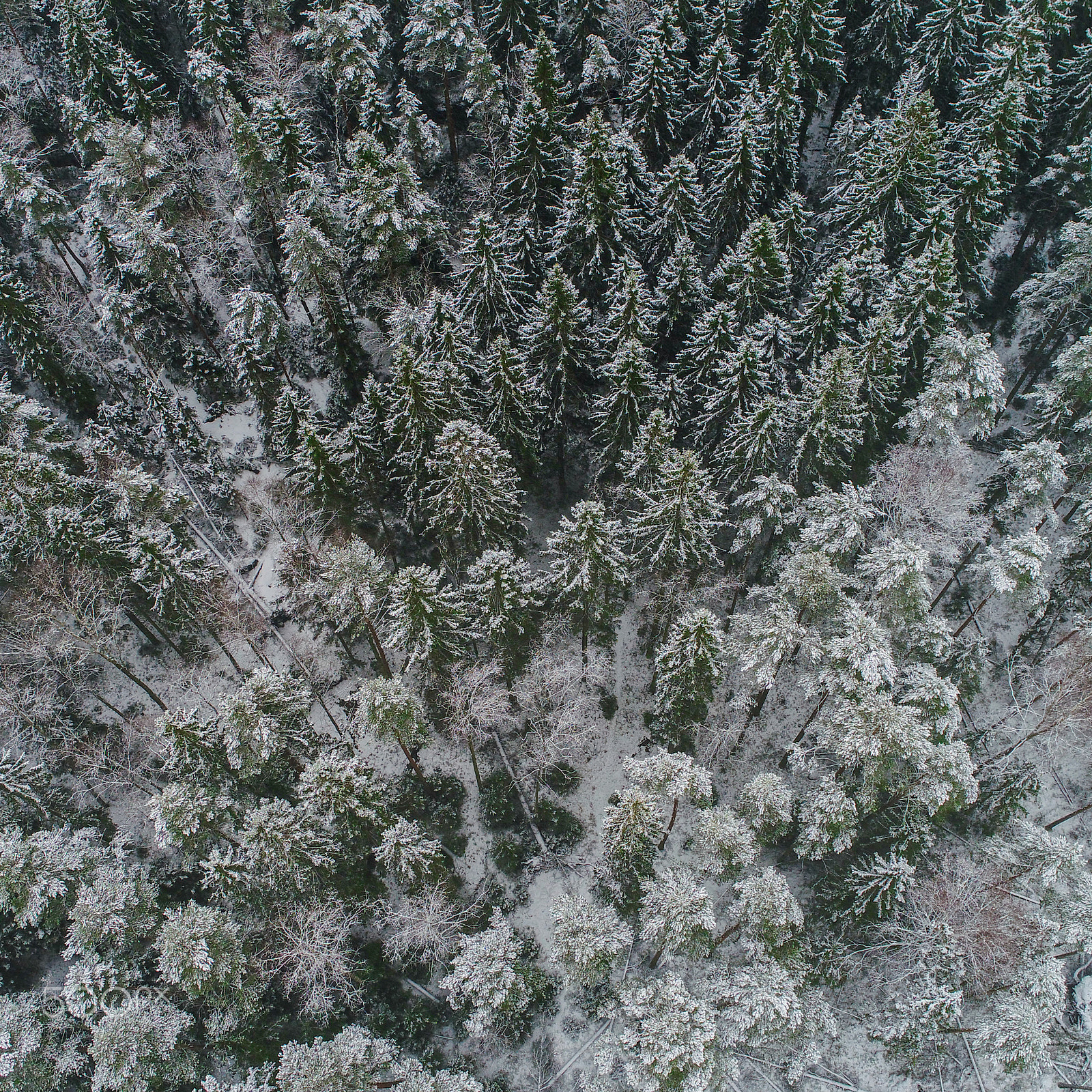 DJI FC6510 sample photo