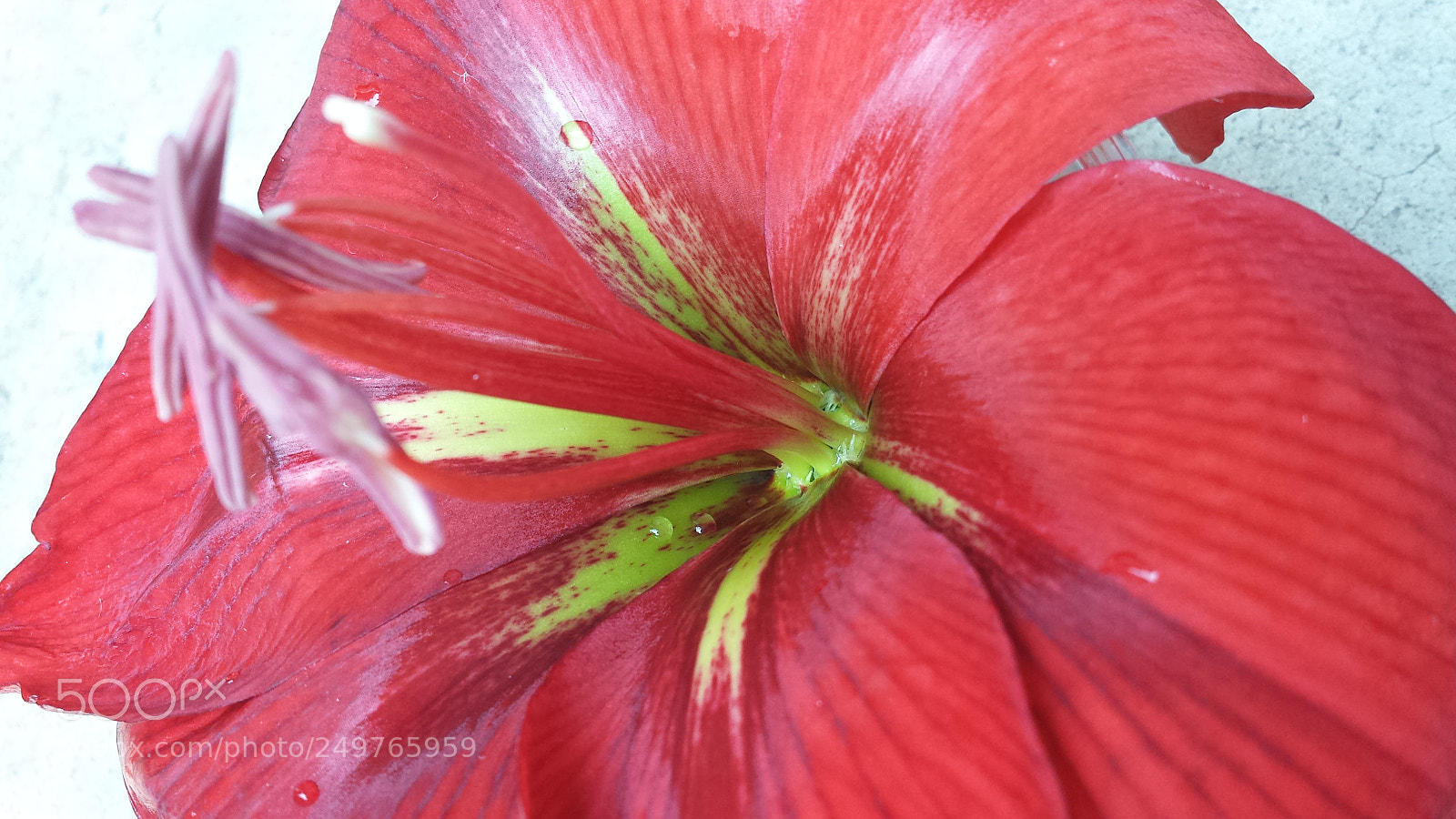 Samsung Galaxy S4 sample photo. Untitled photography