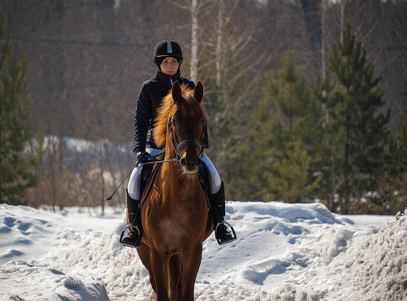 Fujifilm X-T1 sample photo. Весеннее солнце. photography