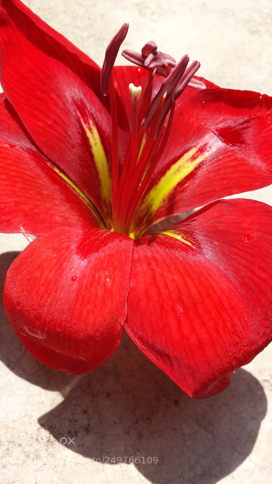 Samsung Galaxy S4 sample photo. Untitled photography
