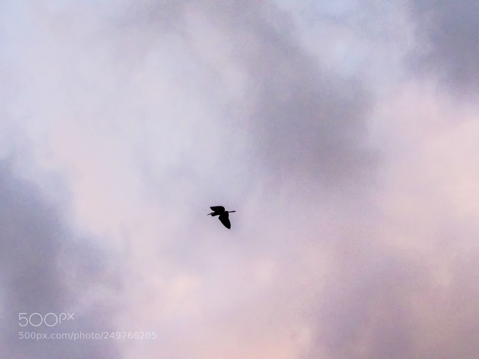 Canon PowerShot SX530 HS sample photo. Moody flight photography