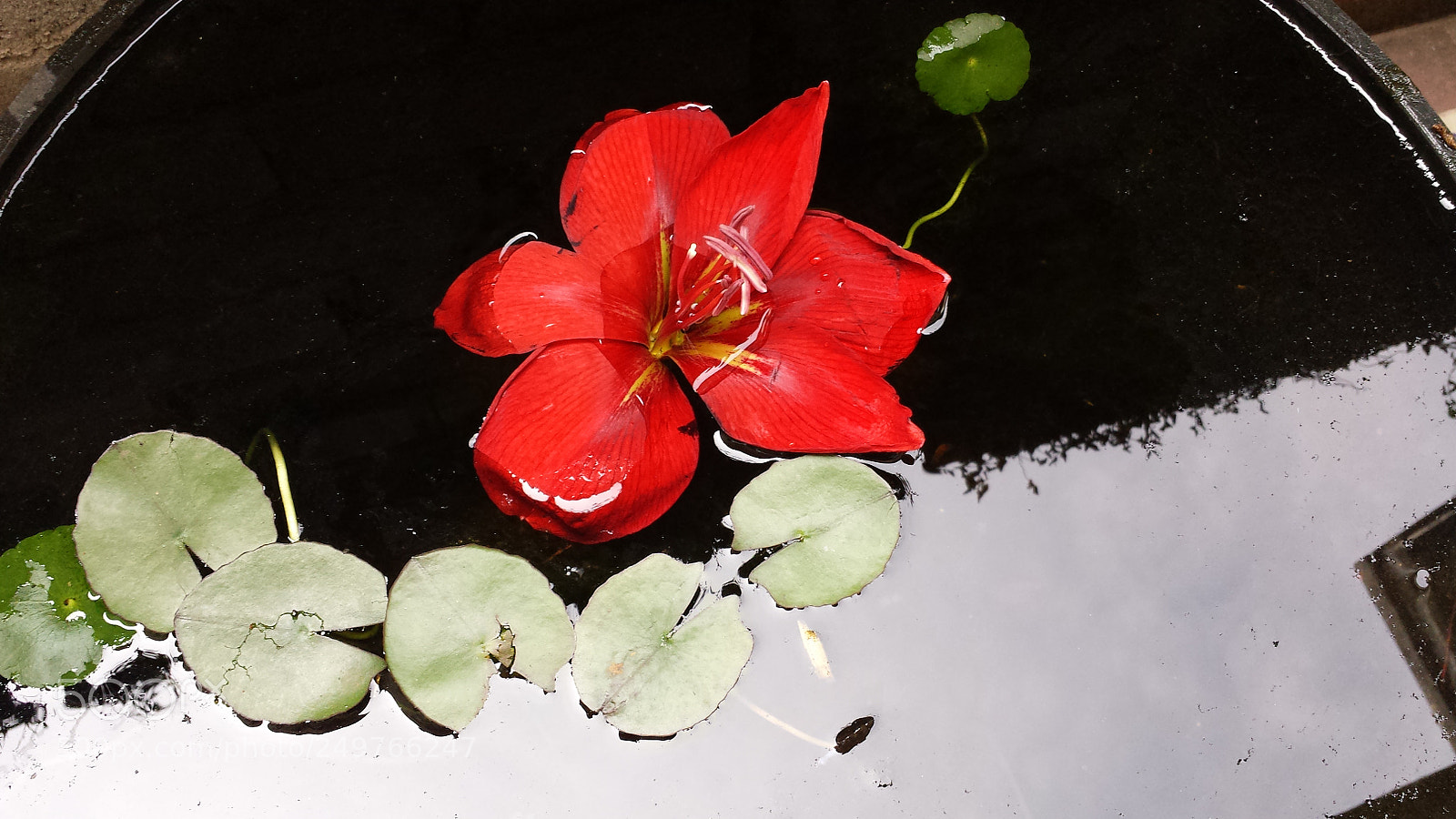 Samsung Galaxy S4 sample photo. Untitled photography