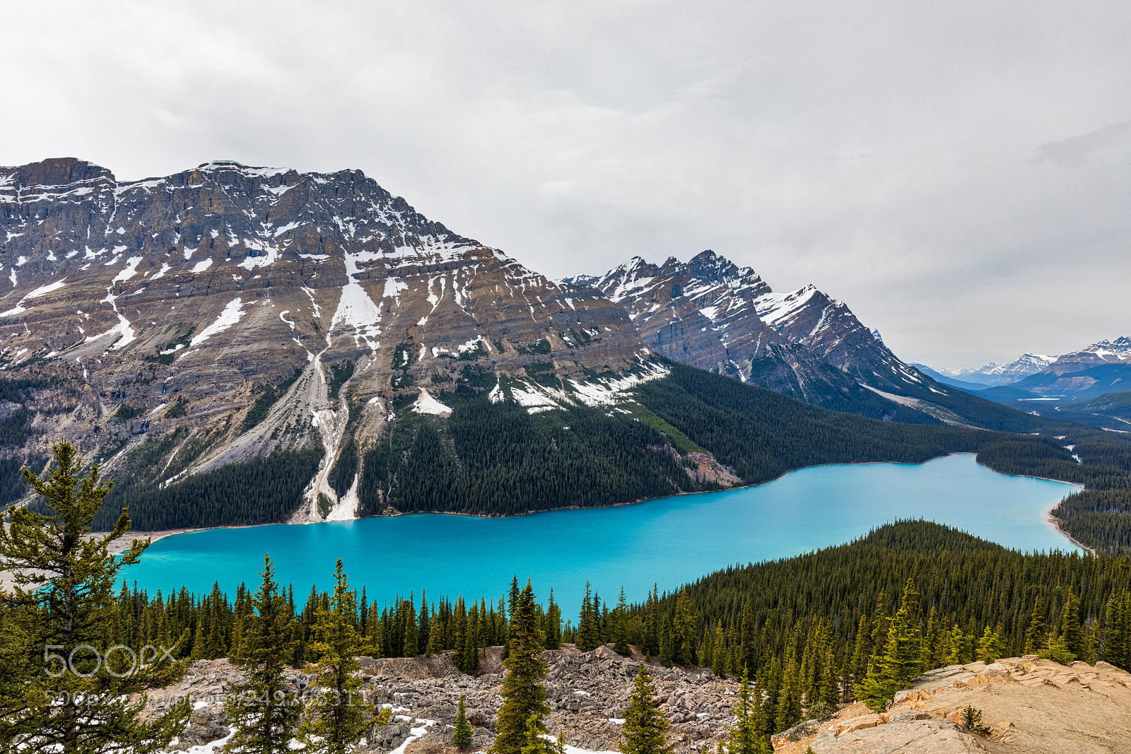 Canon EOS 5D Mark IV sample photo. Peyto lake photography