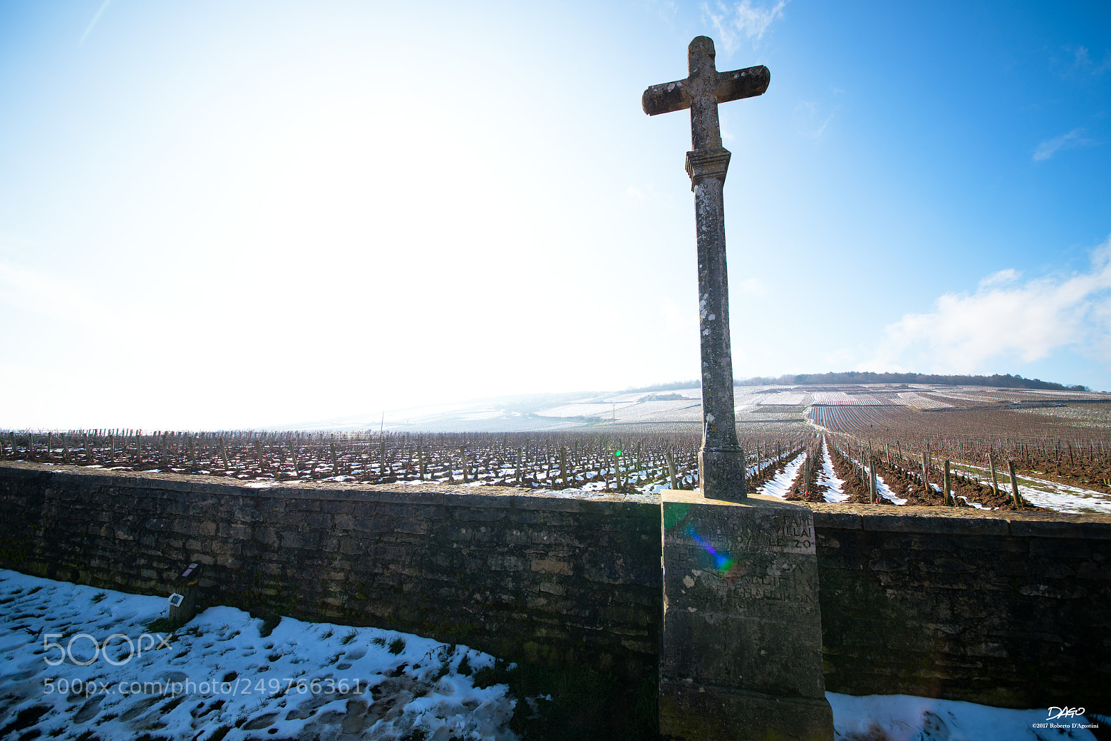 Sony a99 II sample photo. Holy vineyard photography