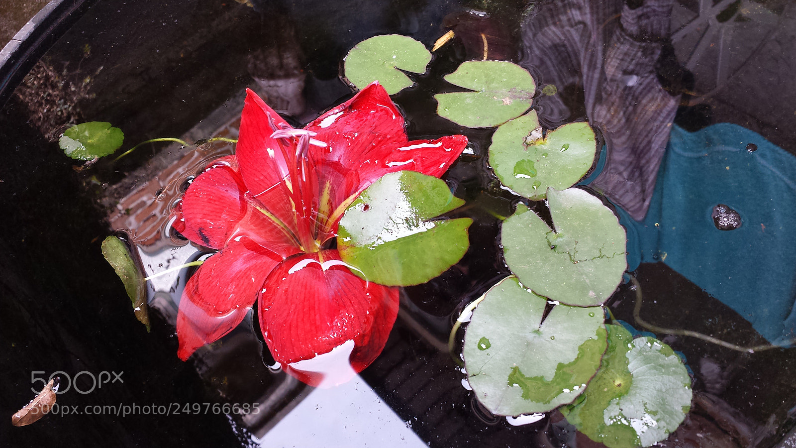 Samsung Galaxy S4 sample photo. Untitled photography