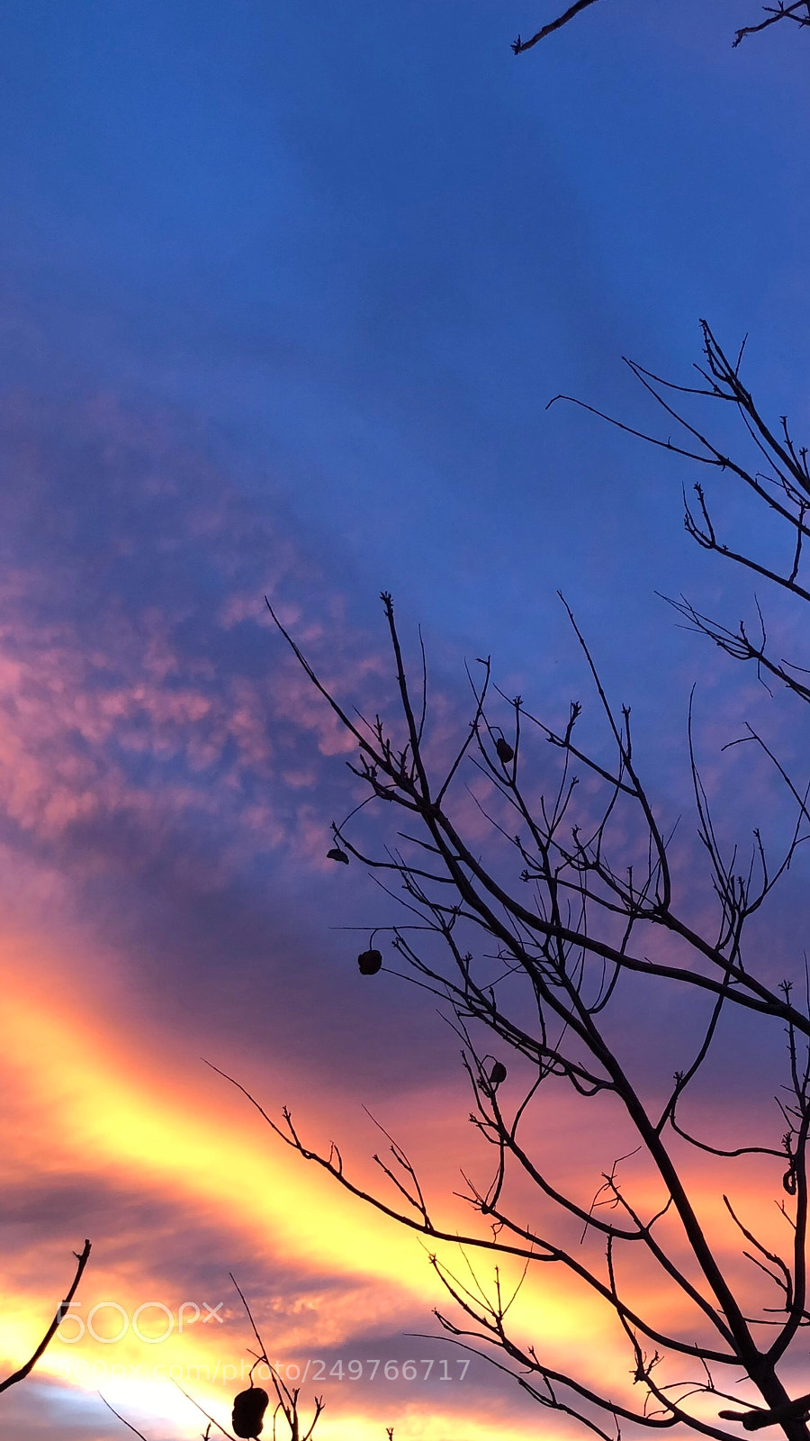 Apple iPhone X sample photo. Colorful sky photography