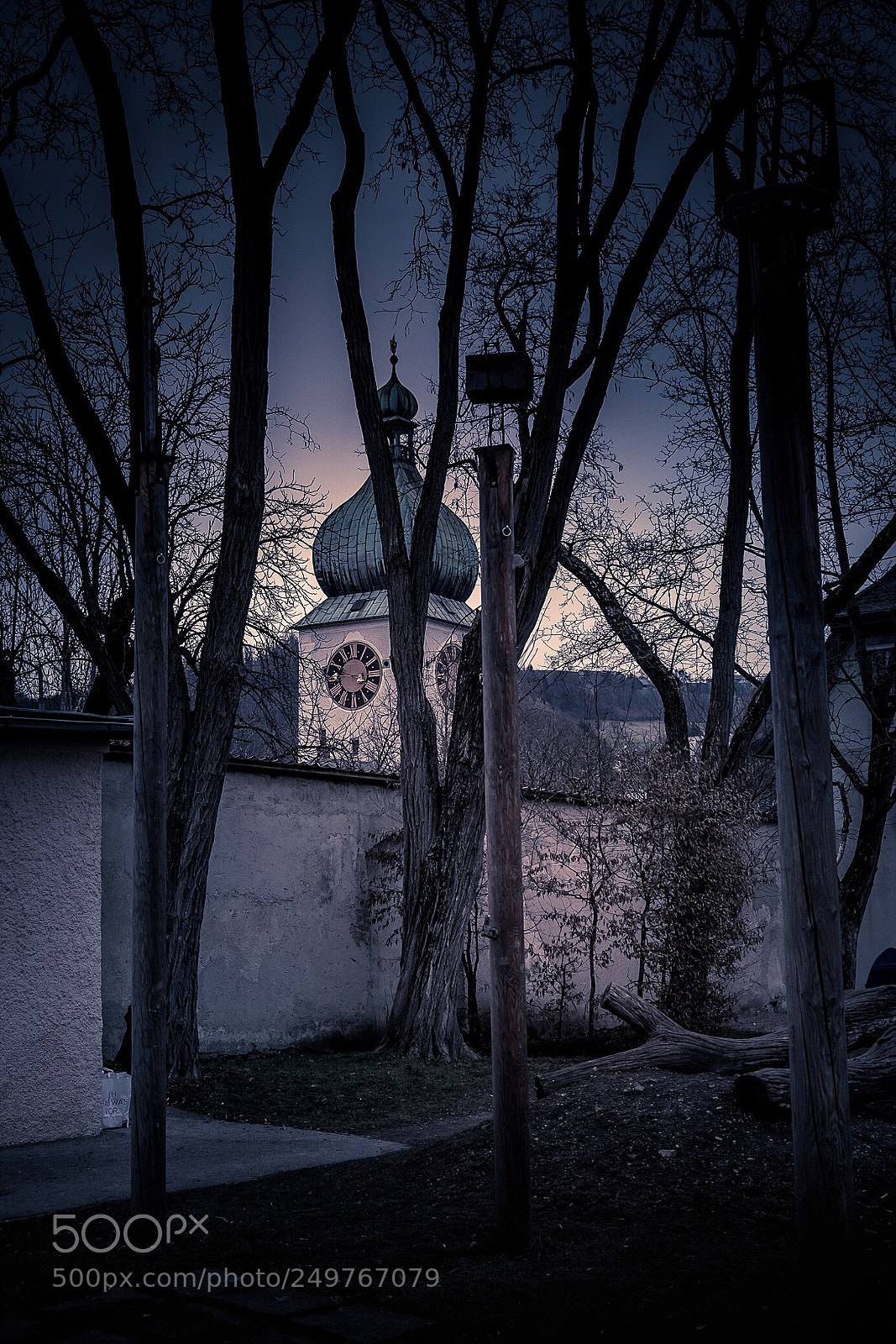 Fujifilm X-T1 sample photo. Konvikt garten  photography