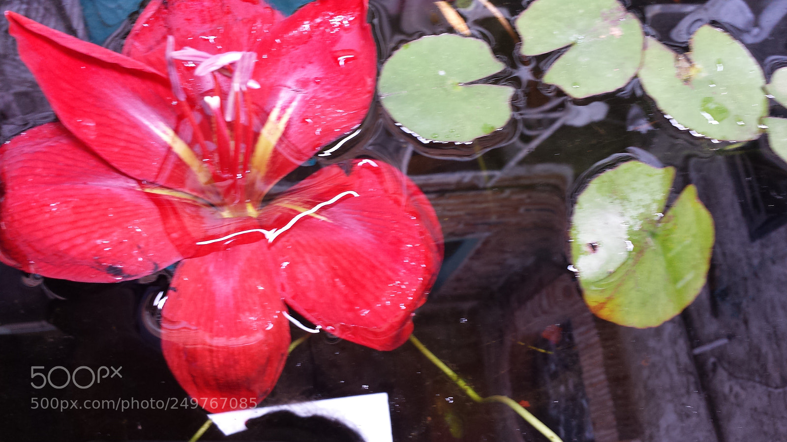 Samsung Galaxy S4 sample photo. Untitled photography