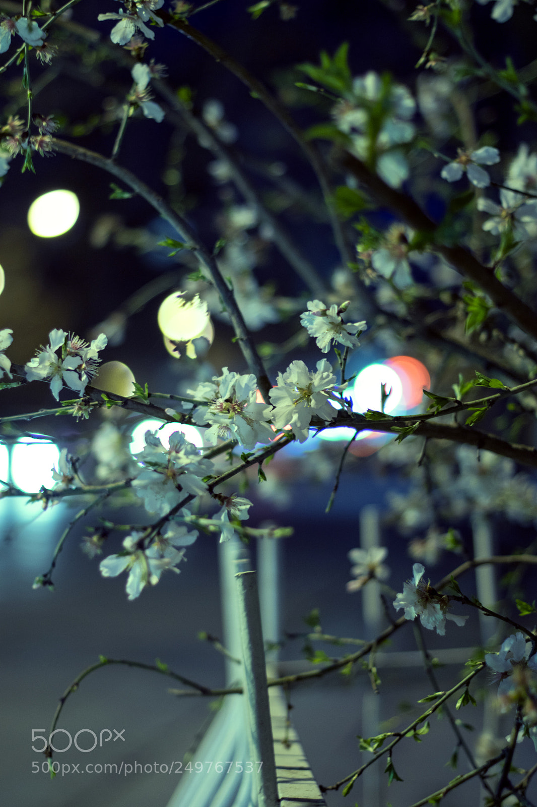 Nikon D5300 sample photo. Untitled photography