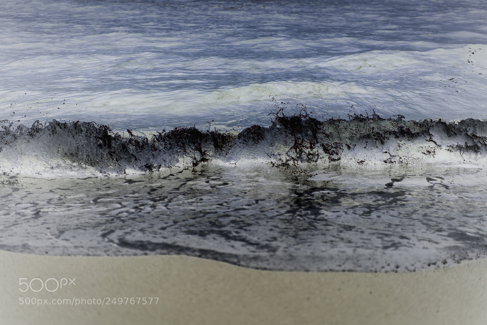 Nikon D800 sample photo. By the sea. photography