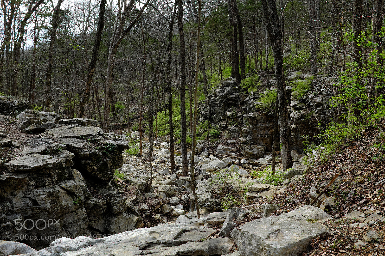 Fujifilm X100S sample photo. Huntsville land trust trail photography