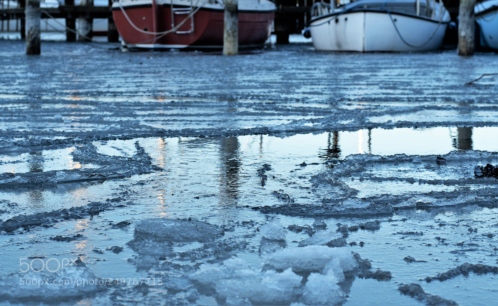 Nikon D500 sample photo. Spring is frozen.... photography