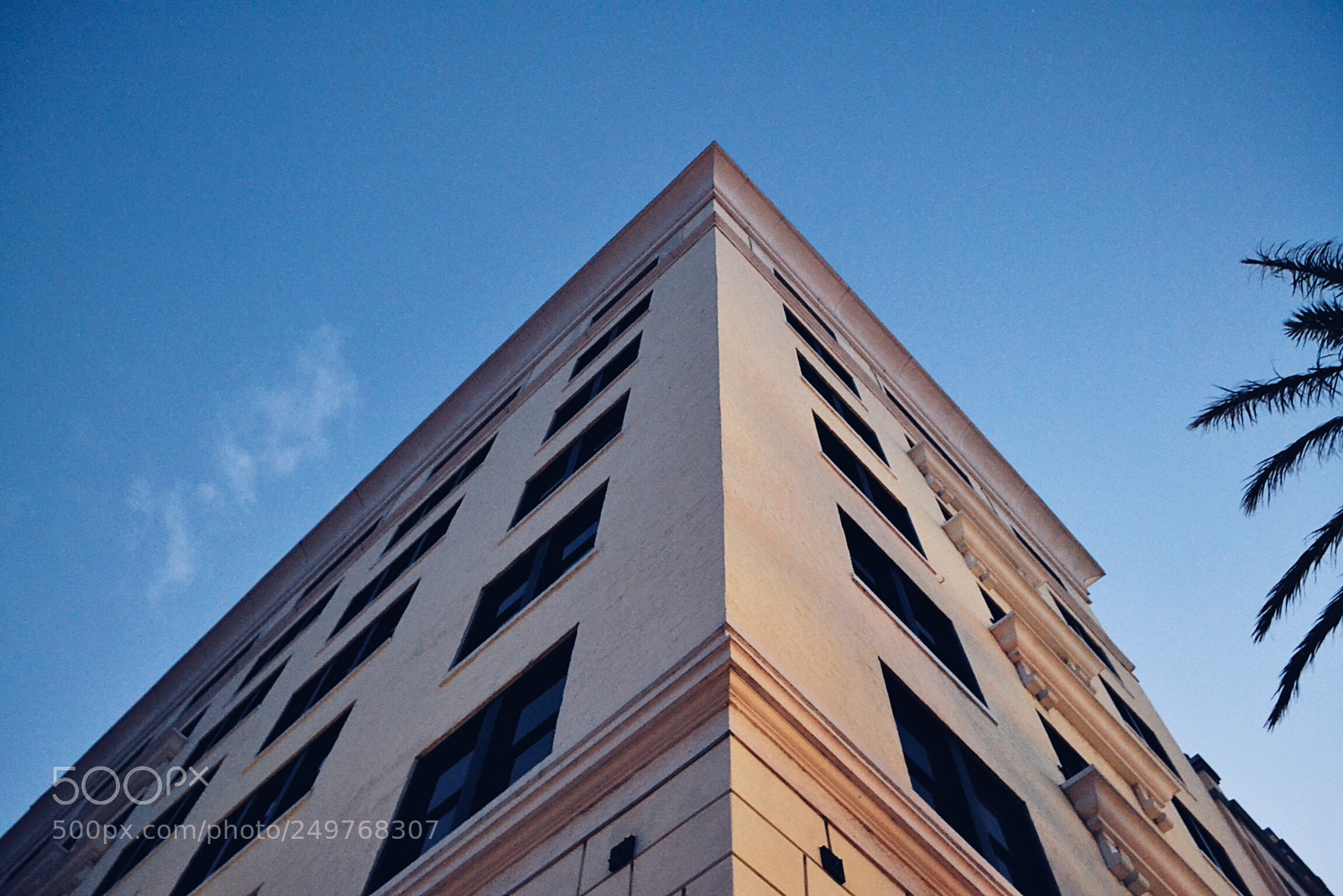 Nikon D3100 sample photo. Processed with vsco with photography