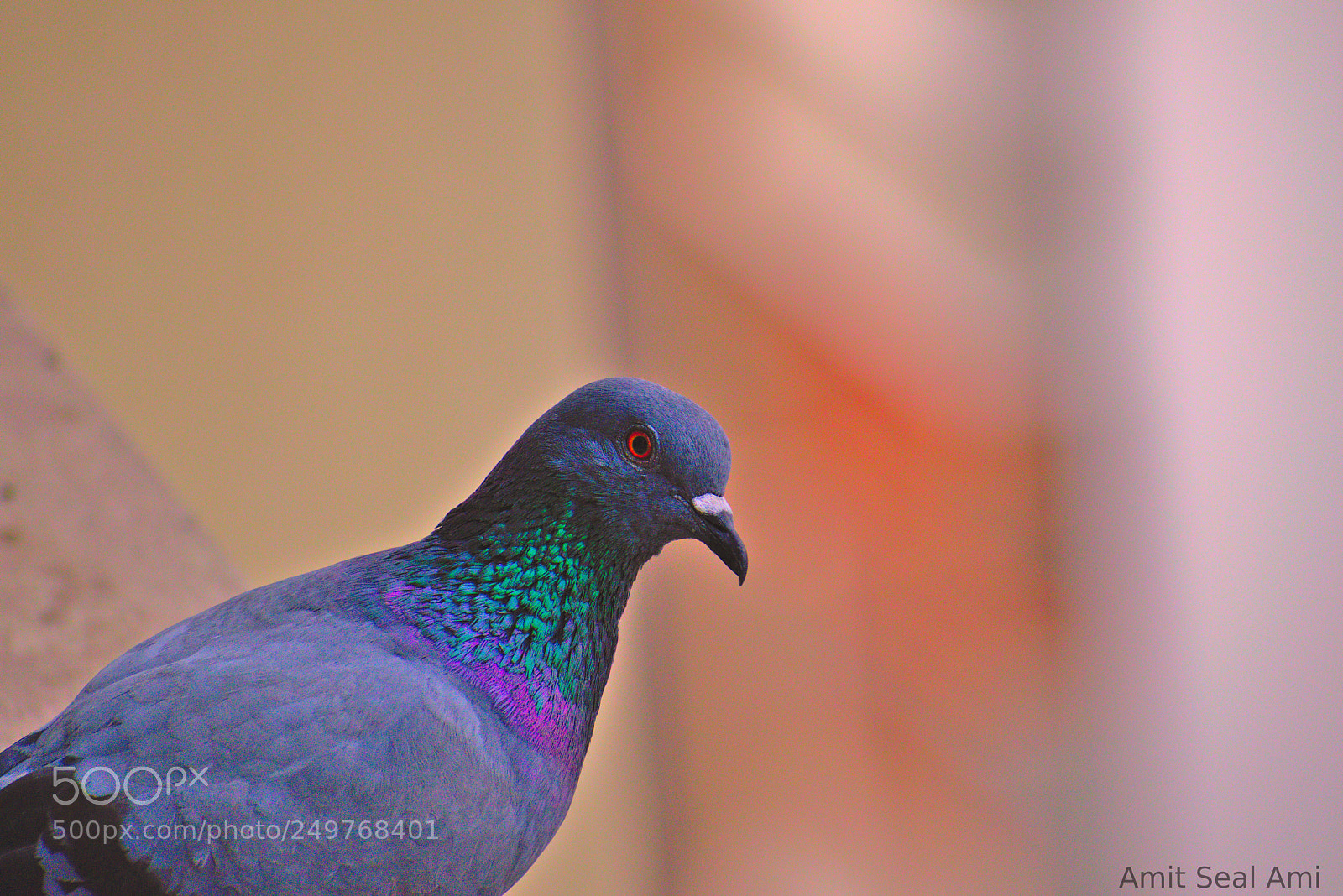Nikon D5300 sample photo. Whatcha looking at, mate? photography