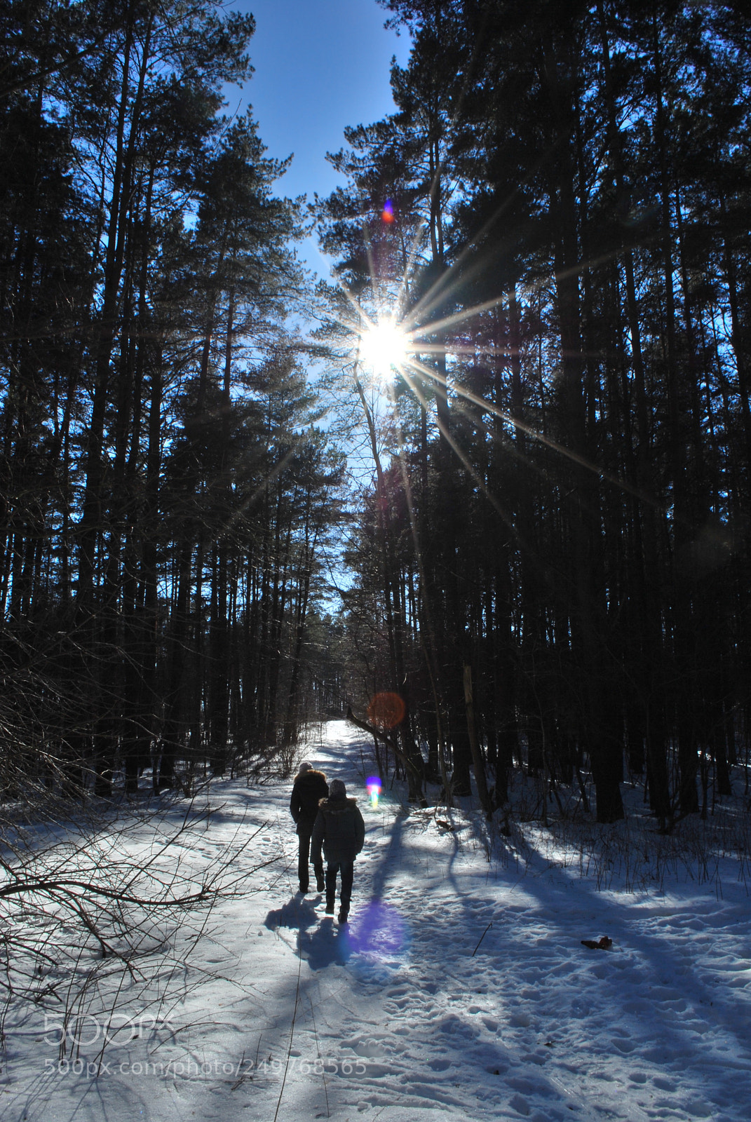 Nikon D60 sample photo. Parks of minsk photography