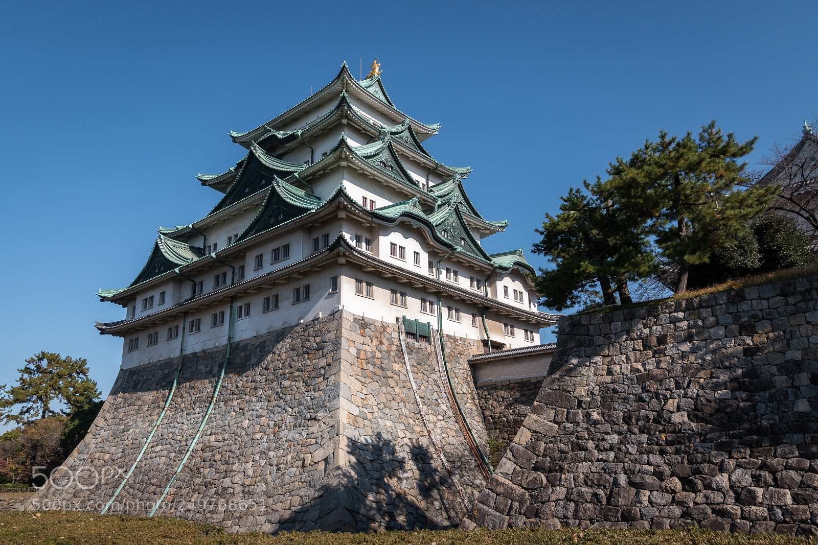 Nikon D5500 sample photo. Nagoya castle photography