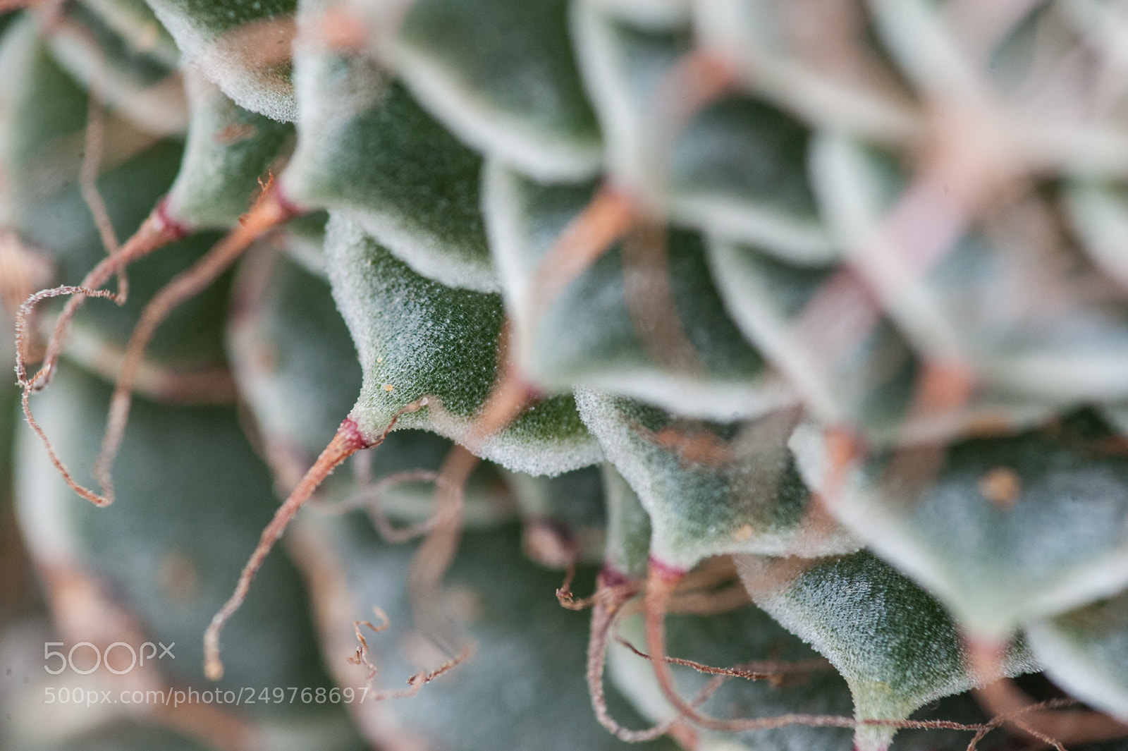 Nikon D700 sample photo. Geometry photography