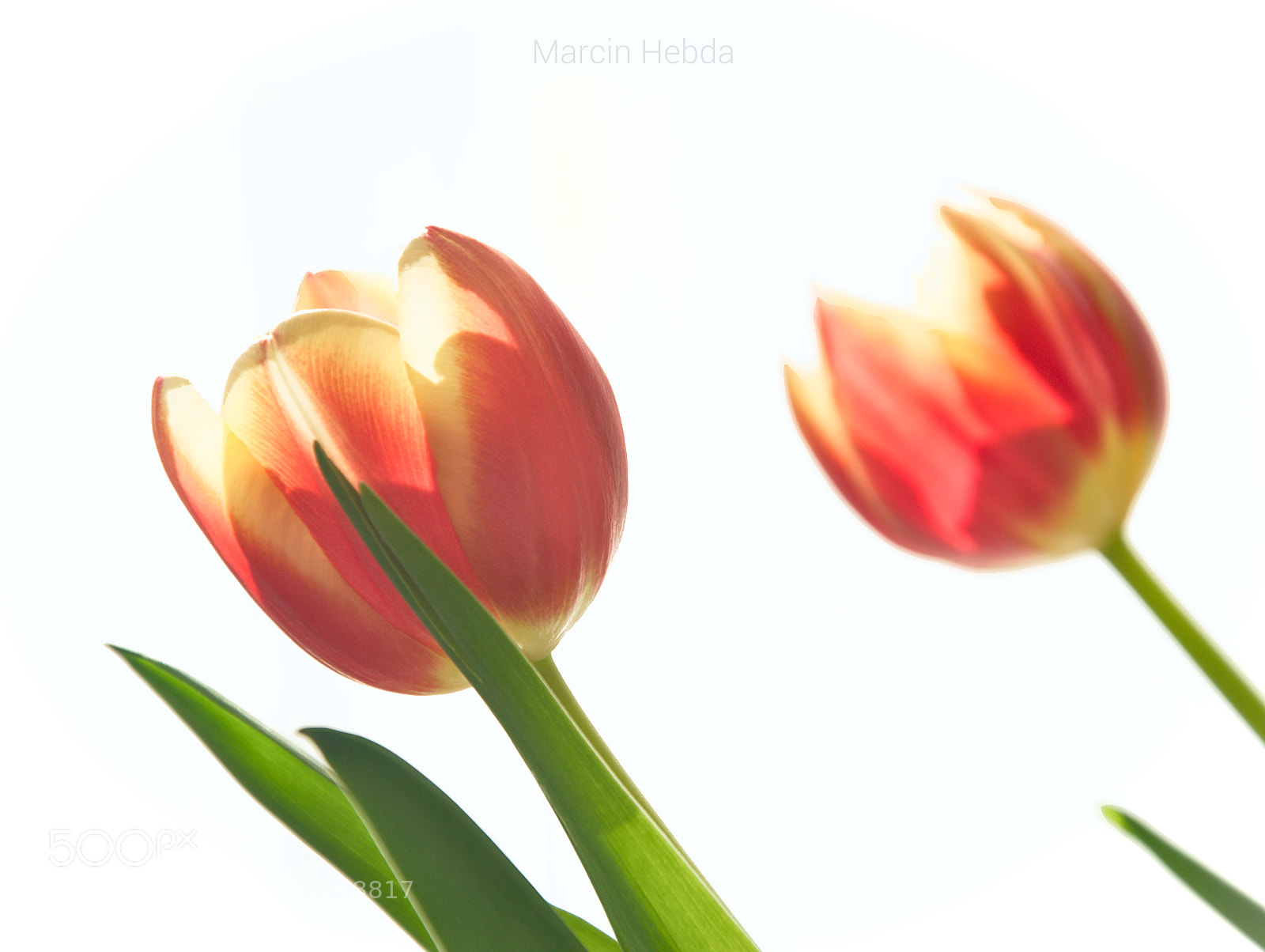 Nikon D5100 sample photo. #007 photography