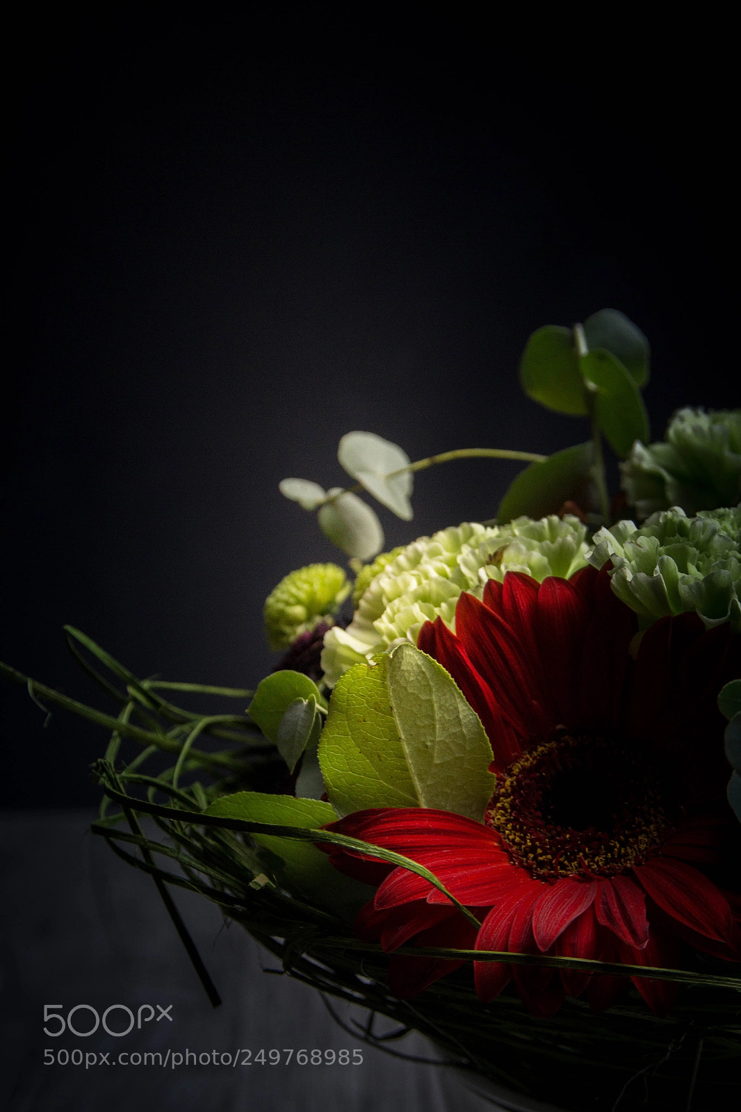 Canon EOS 650D (EOS Rebel T4i / EOS Kiss X6i) sample photo. Flower photography