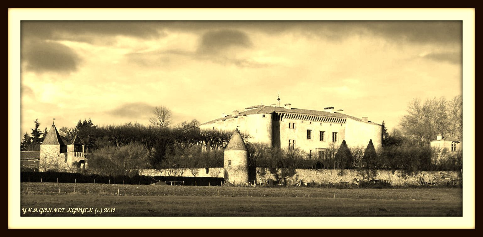 Kodak Z740 ZOOM DIGITAL CAMERA sample photo. Beaujolais netb () copie photography