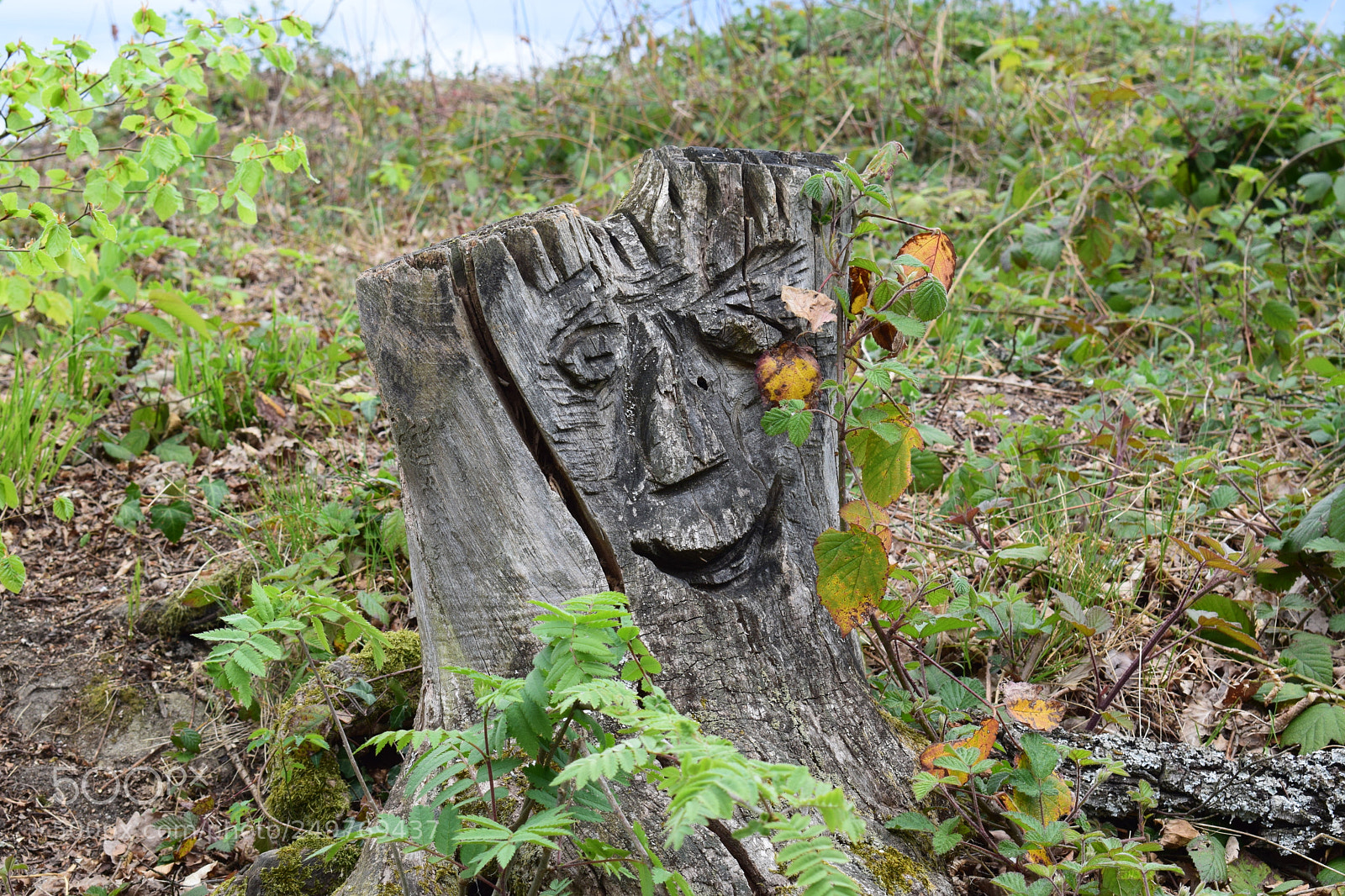 Nikon D3300 sample photo. Sculpture sur bois photography