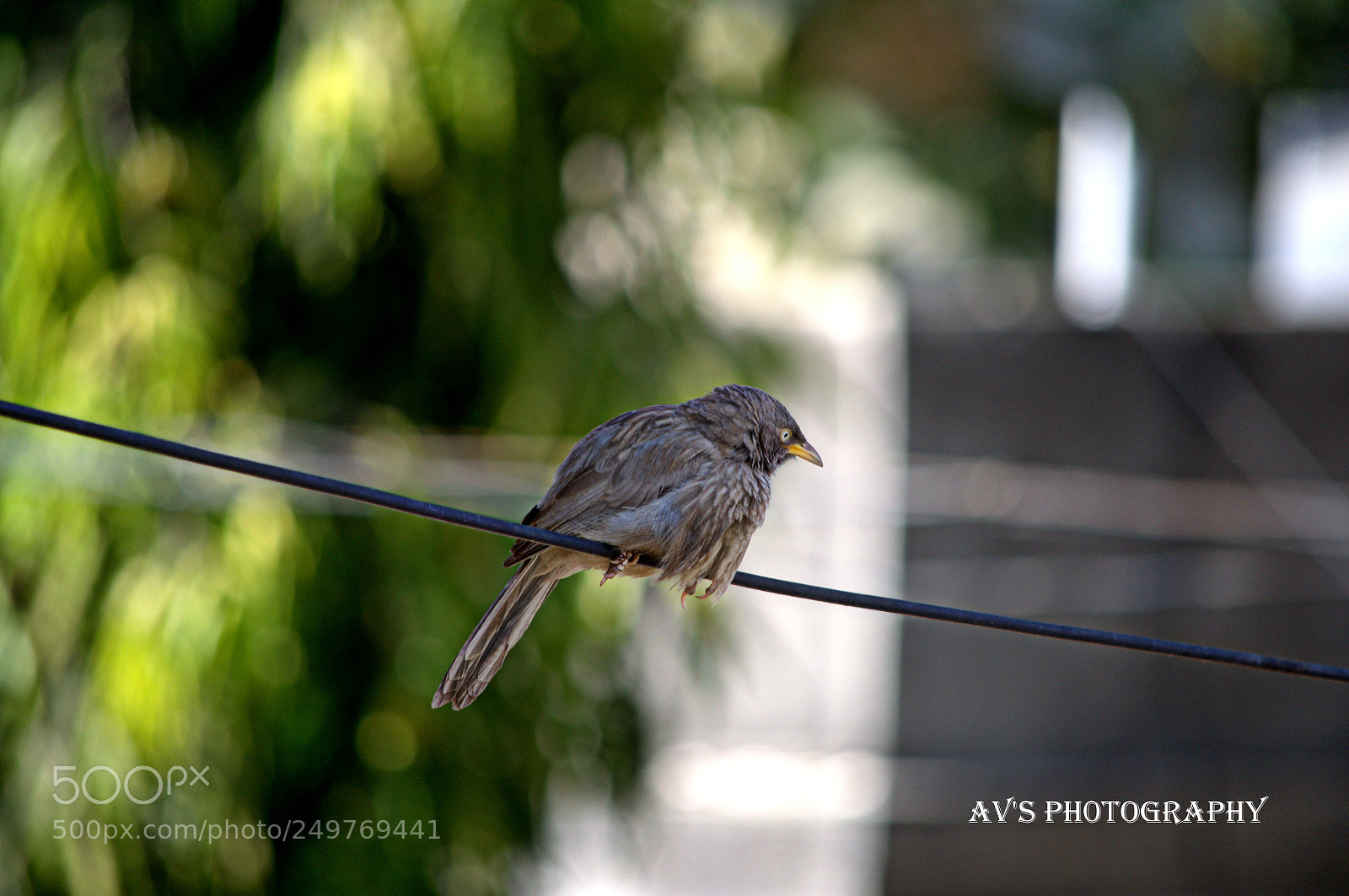 Nikon D3100 sample photo. Untitled photography
