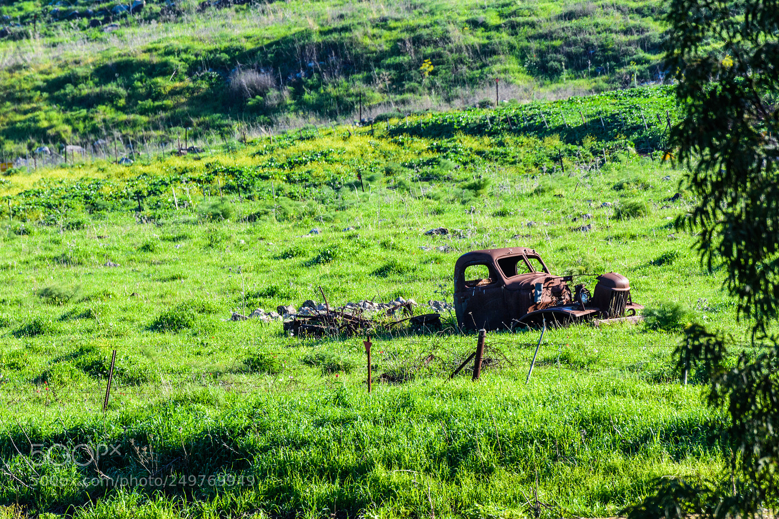 Nikon D7200 sample photo. Once there was a photography