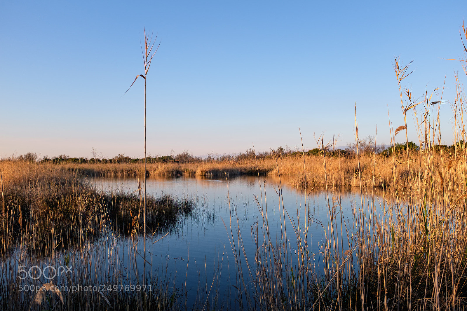 Fujifilm X100S sample photo. Sunset over the wetland photography