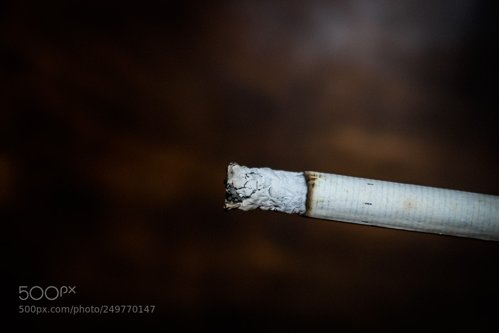 Canon EOS 750D (EOS Rebel T6i / EOS Kiss X8i) sample photo. Smoking photography