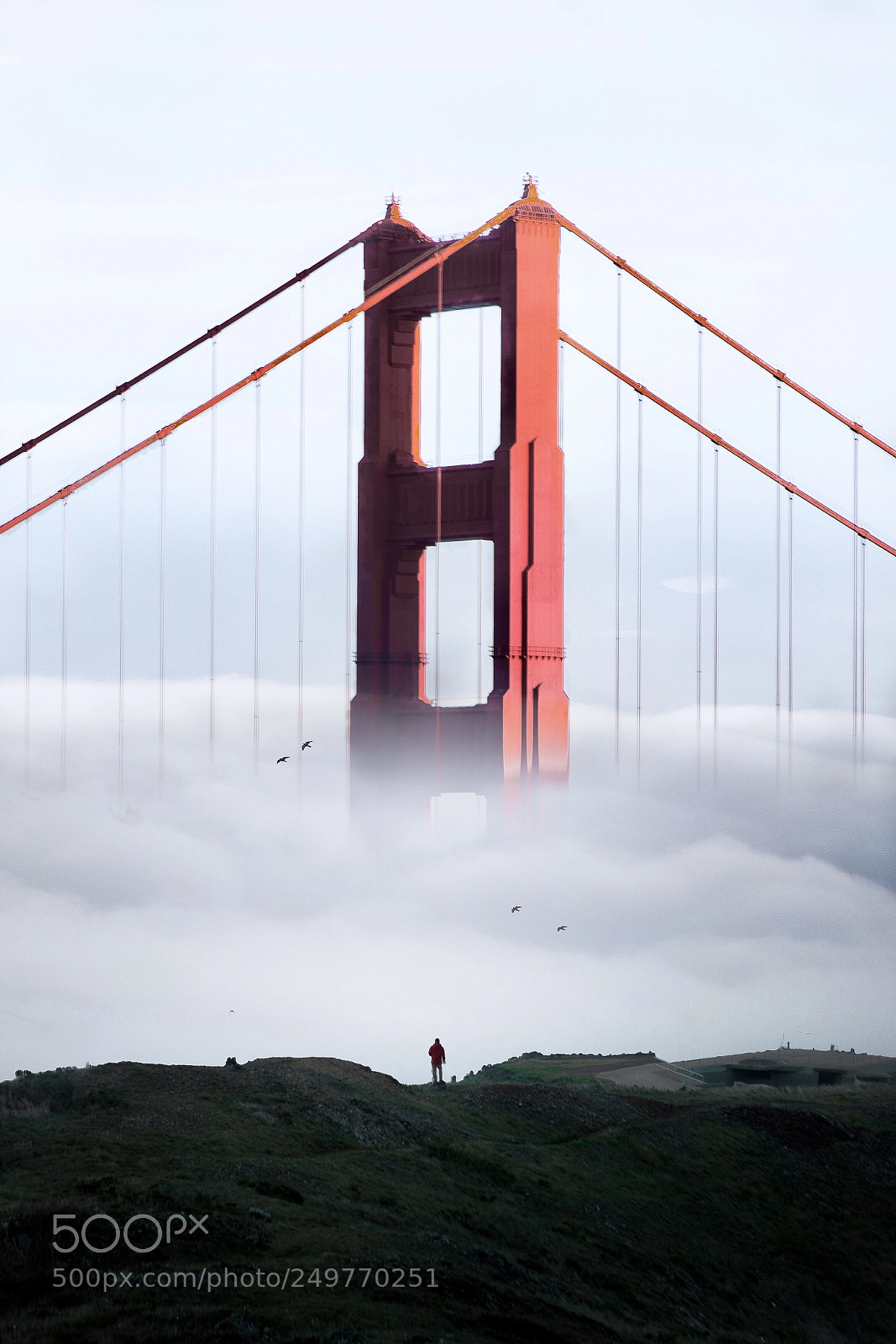 Nikon D7100 sample photo. City of fog photography