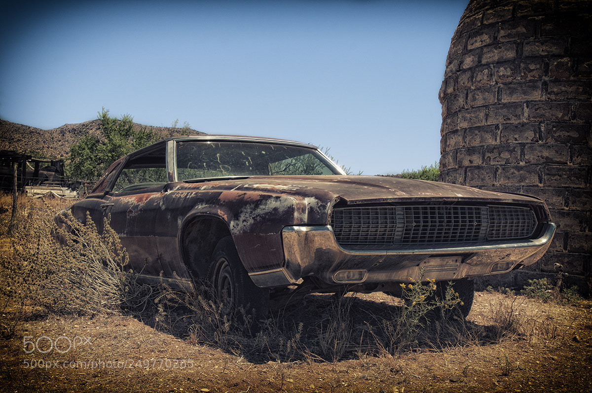Nikon D300 sample photo. Lost in th desert photography