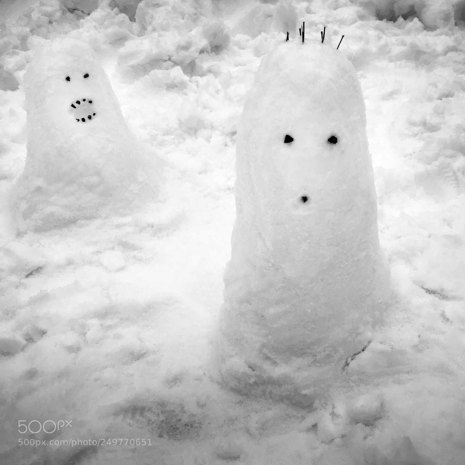 Apple iPhone 7 sample photo. 064/365: snow creatures photography