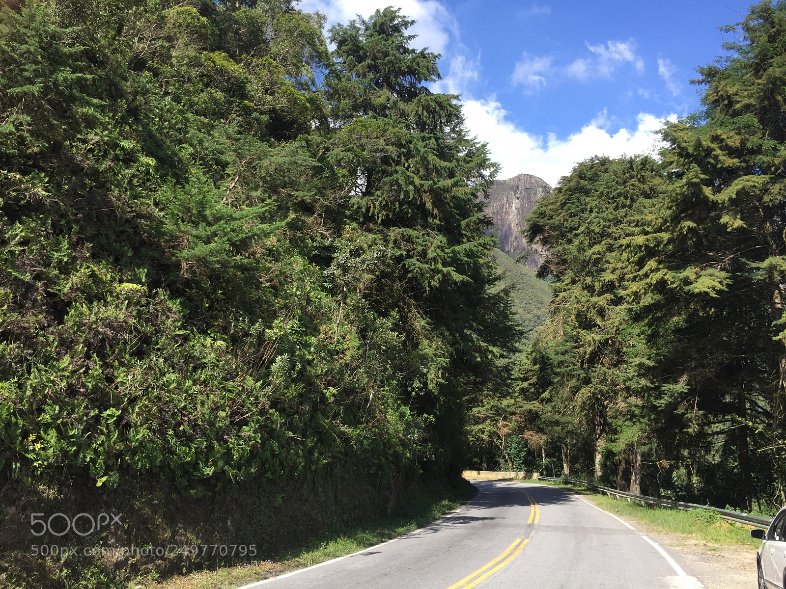 Apple iPhone 6 sample photo. Estrada para agulhas negras photography