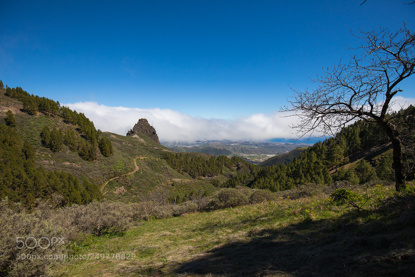 Canon EOS 5D Mark IV sample photo. Caldera de los marteles photography